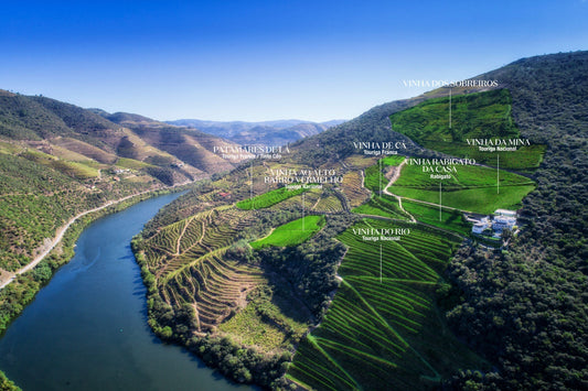 Portvin og Douro-dalen – indefra