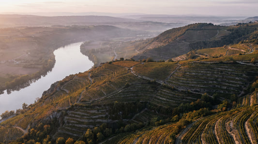 Rhône: Syrah i nord, blandinger i syd