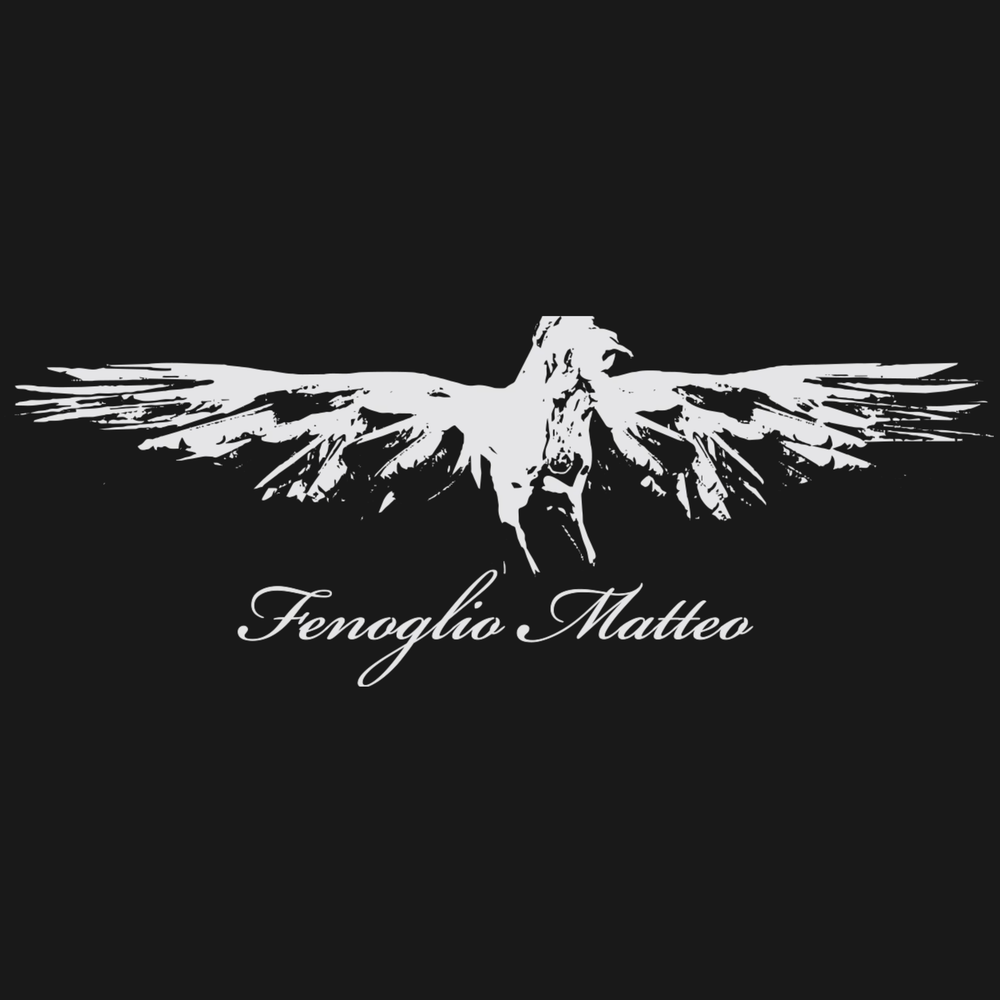 Matteo Fenoglio